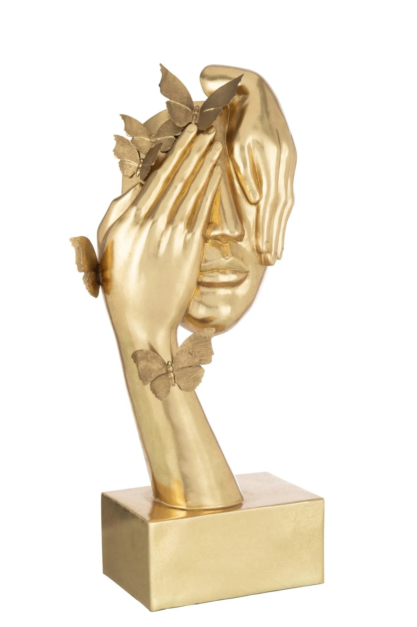 Ornament Gezicht Vlinders Goud